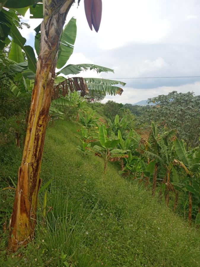 فيلا Rancho De Juancho بيريرا المظهر الخارجي الصورة