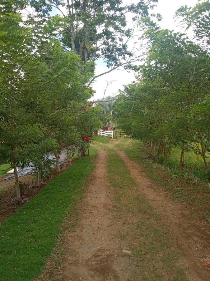 فيلا Rancho De Juancho بيريرا المظهر الخارجي الصورة