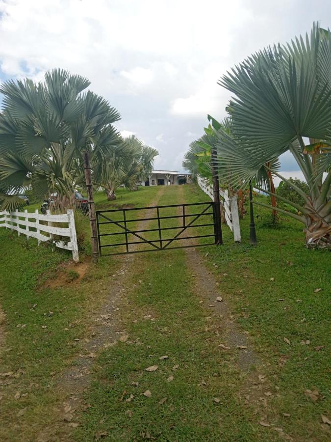 فيلا Rancho De Juancho بيريرا المظهر الخارجي الصورة