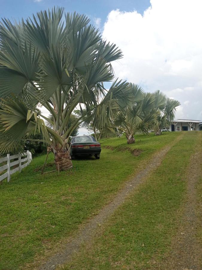 فيلا Rancho De Juancho بيريرا المظهر الخارجي الصورة
